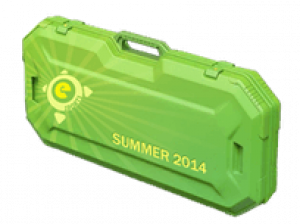 Skrzynka ESports 2014 Summer