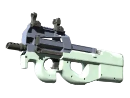 P90 | Storm (Minimal Wear)