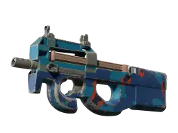 P90 | Blind Spot (Well-Worn)