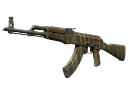 AK-47 | Predator (Well-Worn)