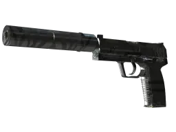 Item USP-S | Dark Water (Minimal Wear)