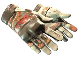 ★ Moto Gloves | POW! (Field-Tested)