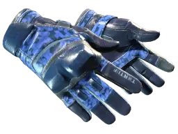 ★ Moto Gloves | Polygon (Field-Tested)