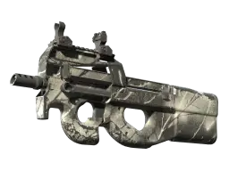 Item P90 | Ash Wood (Field-Tested)
