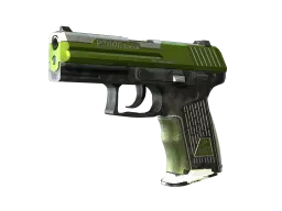 P2000 | Turf (Well-Worn)