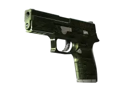 P250 | Iron Clad (Minimal Wear)