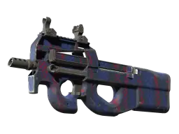 Item P90 | Teardown (Well-Worn)
