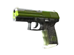 P2000 | Turf (Minimal Wear)