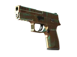P250 | Verdigris (Minimal Wear)