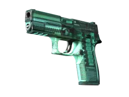 Item P250 | X-Ray (Field-Tested)