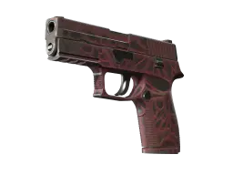 P250 | Contaminant (Well-Worn)