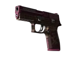 Item P250 | Vino Primo (Battle-Scarred)
