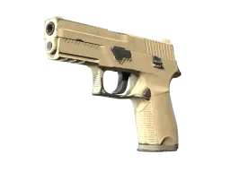 P250 | Sand Dune (Well-Worn)